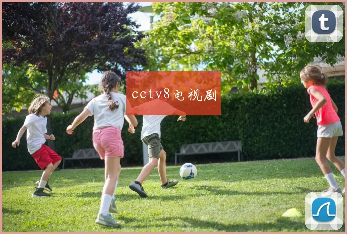 cctv8电视剧