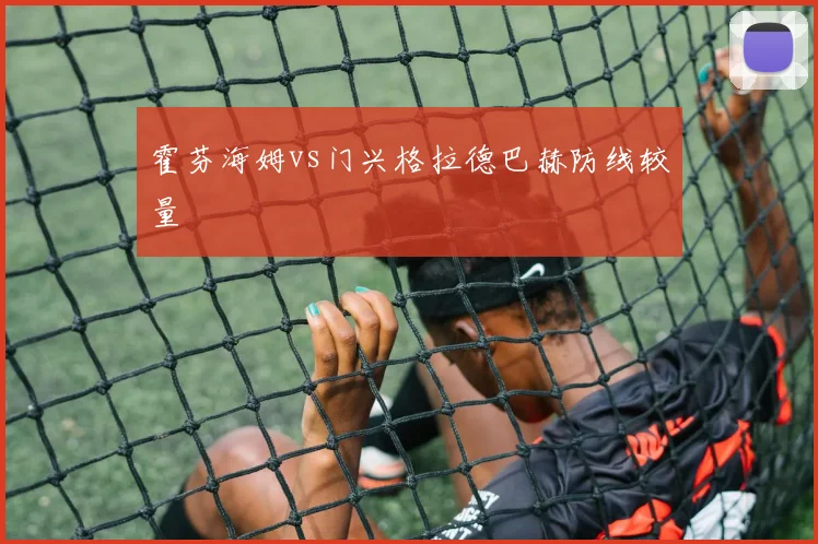 霍芬海姆vs门兴格拉德巴赫防线较量