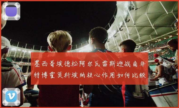 墨西哥埃德松阿尔瓦雷斯迎战南非特博霍莫科埃纳核心作用如何比较