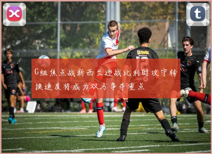 G组焦点战新西兰迎战比利时攻守转换速度将成为双方争夺重点
