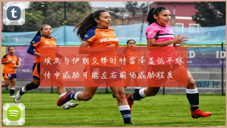 埃及与伊朗交锋时特雷泽盖低平球传中威胁可能左右前场威胁程度