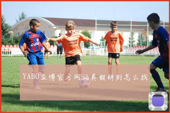 YABO亚博官方网站真假辨别怎么找