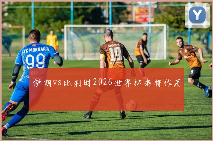 伊朗vs比利时2026世界杯老将作用