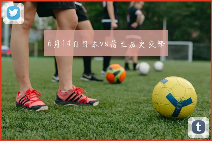 6月14日日本vs荷兰历史交锋